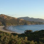 Norman Bay