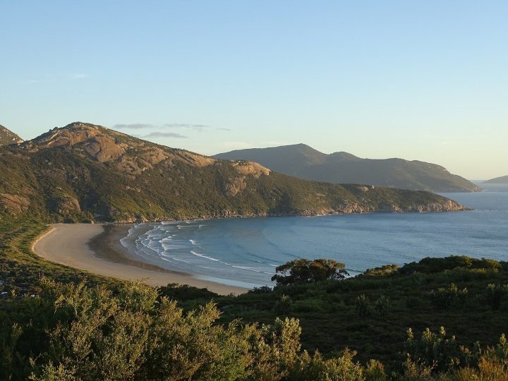 Norman Bay
