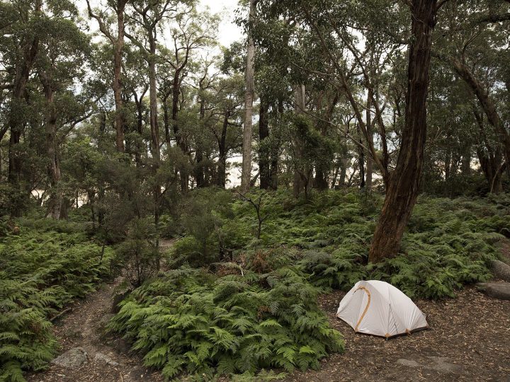 Prom Camping