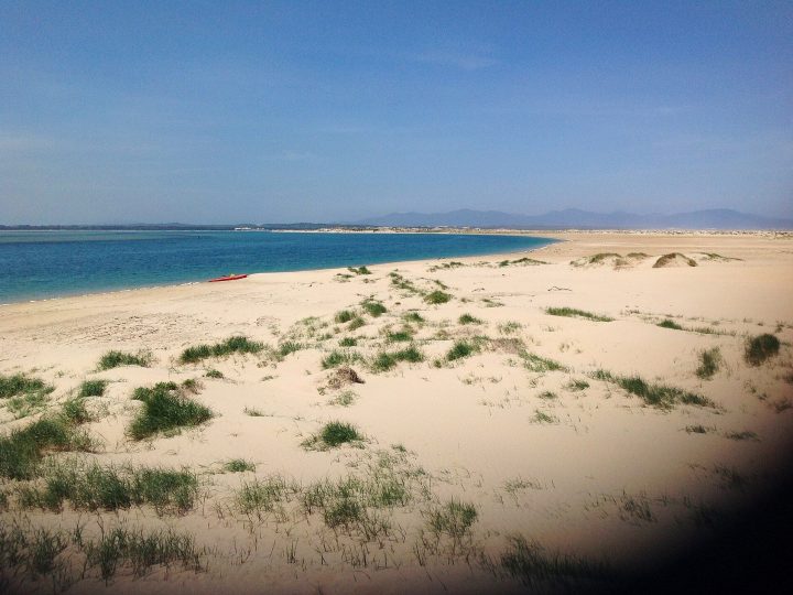 Shallow Inlet Dunes