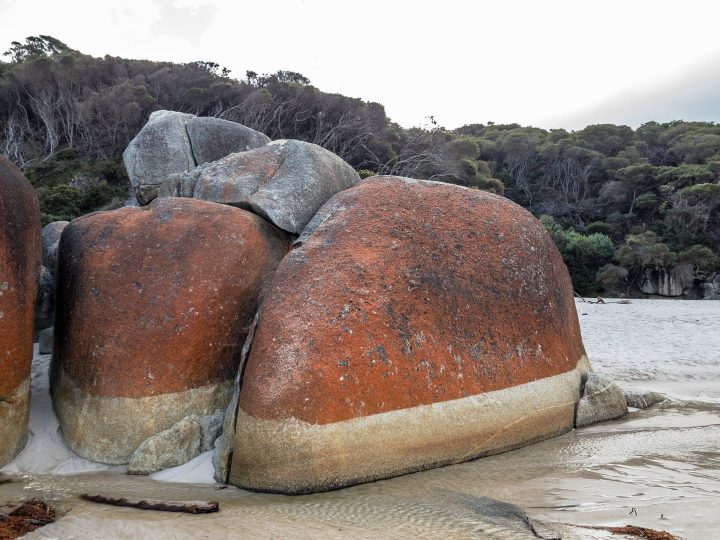 Squeaky Beach Boulders